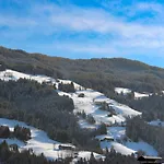 Tyrol-1 By Interhome Lejlighed